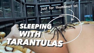 Sleeping with over 150 TARANTULAS to Save Electricity [upl. by Ial]