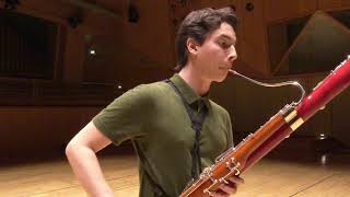 Paganini Caprice No 5  Theo Plath bassoon [upl. by Lebam394]