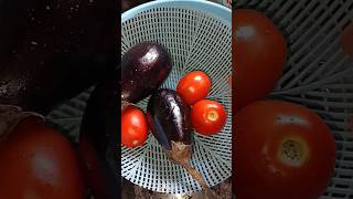 बैंगनshortsrecipe reels food youtubeshorts baiganchokha [upl. by Rhyne]