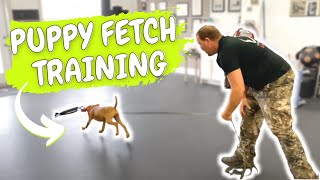 VIZSLA PUPPY TRAINING  Teach Fetch Using Toys and Food [upl. by Ruelle684]