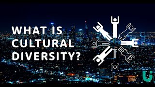 What is cultural diversity  Language Insight [upl. by Kcoj]