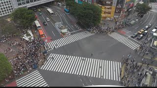 Japans Shibuya Crossing may be the busiest pedestrian crossing in the world [upl. by Chenay]