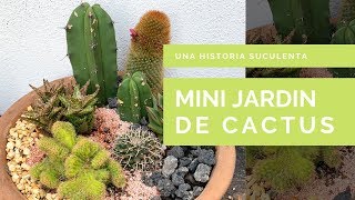 Como Plantar Cactus y Suculentas Juntos [upl. by Epul]