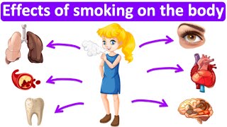 What are the effects of smoking on the body 🚬  Easy Science lesson [upl. by Urbano]