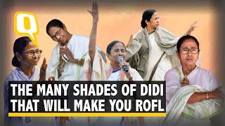 From Didigiri to Sloganbazi The Many Shades of Mighty Mamata Banerjee  The Quint [upl. by Ayr]