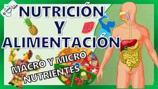 CONCEPTOS BÁSICOS DE NUTRICIÓN Y ALIMENTACIÓN  GuiaMed [upl. by Bendicty]