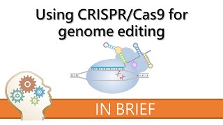 CRISPR Immunity Explained How Cas9 Protects Bacteria from Viruses [upl. by Nadean782]