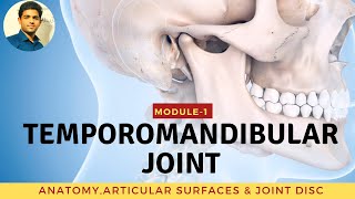 TEMPOROMANDIBULAR JOINT Anatomy amp Biomechanics [upl. by Ninahs851]