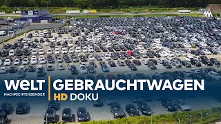 Heiligs Blechle  Deutschlands größter Gebrauchtwagenhandel  Doku [upl. by Ahsinrat182]