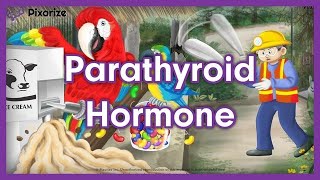 Parathyroid Hormone MCAT Mnemonic for MCAT [upl. by Masha]