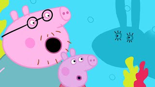 Peppa Pig en Español 🐟 EL ACUARIO 🐟 Peppa George mamá y papá  Pepa la cerdita [upl. by Ayekim]