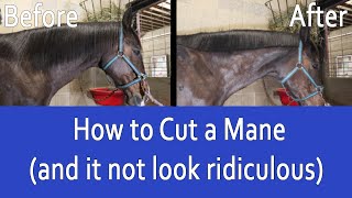 How to Trim a Horses Mane with Scissors and make it look AMAZING [upl. by Icyac]