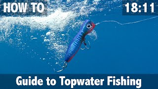 Guide to Topwater Fishing [upl. by Eolhc]