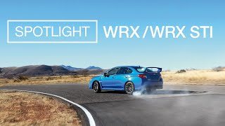 Subaru WRX and WRX STI  Spotlight [upl. by Reerg774]