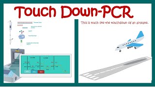 Touch down PCR [upl. by Nomra]