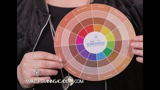 How to Use The Flesh Tone Color Wheel™ [upl. by Crissy381]