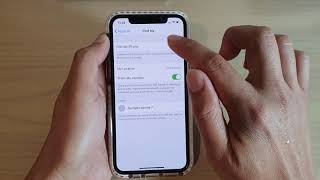 iPhone 11 How to Turn On Find My iPhone [upl. by Notgnihsaw]