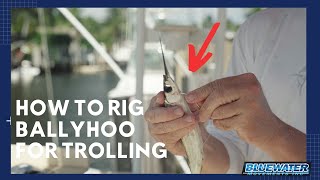 How to Rig a Ballyhoo Fast amp Easy for Trolling [upl. by Westbrook459]