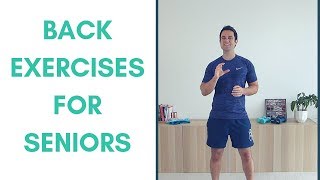 Essential Lower Back Exercises for Seniors [upl. by Cocks]