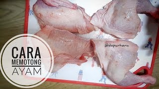 Cara memotong ayam jadi 4 8 12 dan 14 bagian Resep Masakan Indonesia  Masak Eps 11 [upl. by Dej]