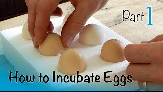 What is INCUBATION PERIOD  of any disease  basic concept  explained [upl. by Crocker]