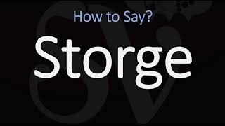 How to Pronounce Storge CORRECTLY LOVE Meaning amp Pronunciation [upl. by Yvan663]