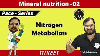 Mineral Nutrition  02  Nitrogen Metabolism  Class 11  Pace Series [upl. by Inig]