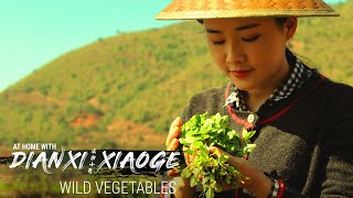 Dianxi Xiaoge Teaches Us How to Forage for Wild Greens At Home With DXXG  E5 [upl. by Zalea]