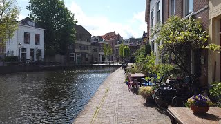 Walking in Schiedam 🌤️ Rotterdam Metro Area  The Netherlands  4K60 [upl. by Ynafets615]