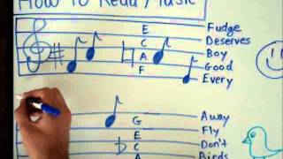 How to Read Music  Basics for Beginners  Music Theory Lesson [upl. by Oneg895]