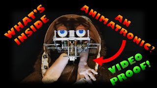 Whats REALLY going on inside an animatronic HOW does it work Halloween Special [upl. by Atcele483]