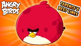 Angry Birds  Terences Best Lines [upl. by Beetner]