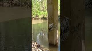 Childersburg Anglers fishing the Tallahassee Creek [upl. by Schroder899]