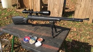 Benjamin Maximus 22 Cal Air Rifle Test Review [upl. by Eniroc]