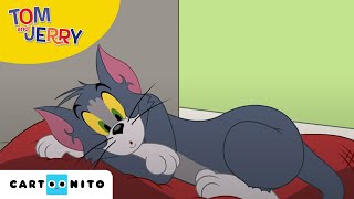 Tom und Jerry  Das neue Haustier  Cartoonito [upl. by Birmingham]