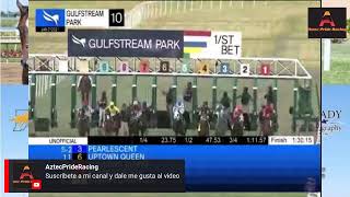 Aqueduct Live Stream Races [upl. by Terrye]