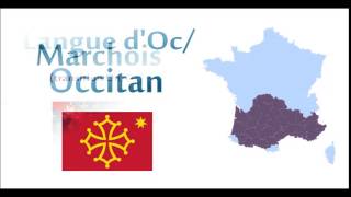 45 langues régionales de France  45 Languages of France [upl. by Belier]