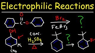 Electrophilic Aromatic Substitution Reactions Made Easy [upl. by Anamuj]