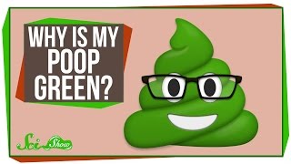 Why Is My Poop Green [upl. by Llerrah207]