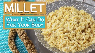 What Millet Can Do For Your Body  5 Benefits [upl. by Fryd427]