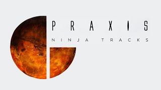 Ninja Tracks  Praxis [upl. by Blader]