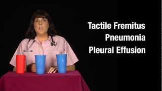 Tactile Fremitus Cups Demonstration [upl. by Yrrol515]