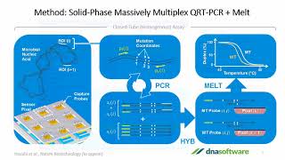 Multiplex PCR Assay Design Made Easy [upl. by Fredella]