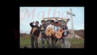 CARNAVAL Te llevare mi cholita  proyecto musical MALBA [upl. by Cirillo]