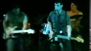 Minutemen  Live  The Starwood LA 11880 VIDEO FOOTAGE [upl. by Gurolinick]