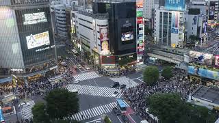 Shibuya Crossing Timelapse [upl. by Viscardi98]