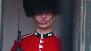 Queens Royal Foot Guard at Buckingham Palace makes funny faces at a tourists in London [upl. by Lleuqram]