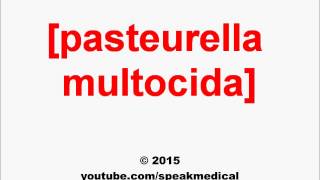 Pronounce Pasteurella multocida  SpeakMedical [upl. by Stucker]