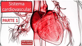 SISTEMA CARDIOVASCULAR  parte 1 anatomia veterinária [upl. by Duntson]