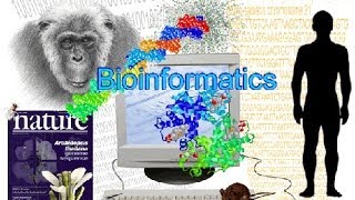 Bioinformatics part 1 What is Bioinformatics [upl. by Nylecsoj]